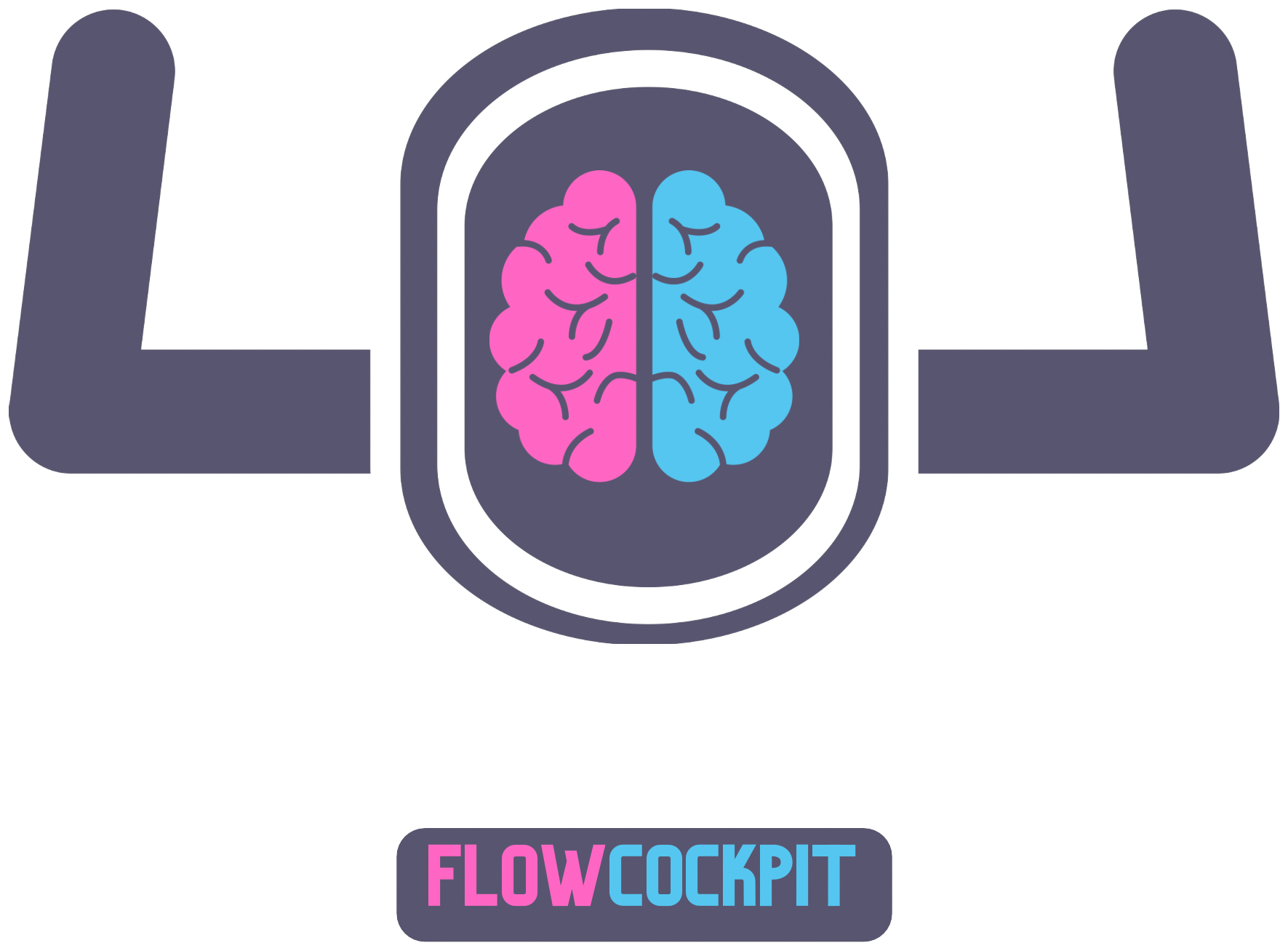 FLOW Cockpit